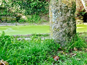 Location Cotentin mer-gîte de bord de mer -Lavoir