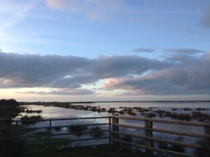 Location Cotentin mer-gîte de bord de mer-Mares de Vrasville