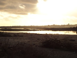Location Cotentin mer-gîte de bord de mer-Mares de Vrasville