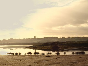 Location Cotentin mer-gîte de bord de mer-Mares de Vrasville