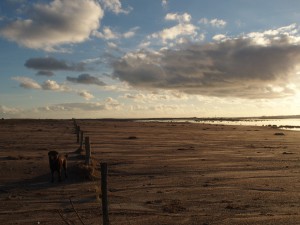Location Cotentin mer-gîte de bord de mer-Mares de Vrasville