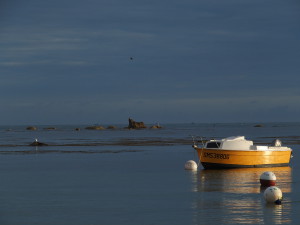 Location Cotentin mer-gîte de bord de mer-Le Sablon - Cosqueville