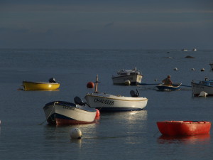 Location Cotentin mer-gîte de bord de mer-Le Sablon - Cosqueville
